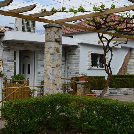 Vila Ss Kekezi Villa Gjirokastër Buitenkant foto